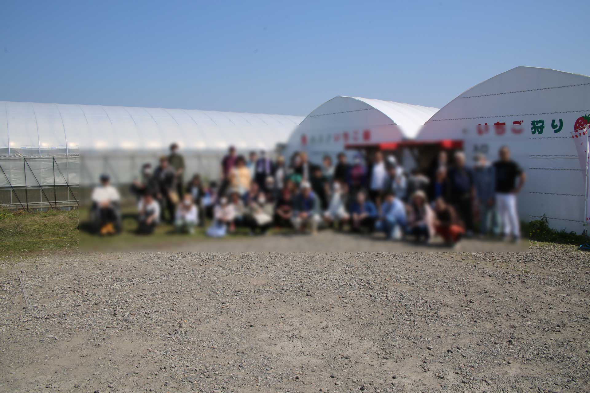 ユアライフ合同イベントで『いちご狩り』に行きました。